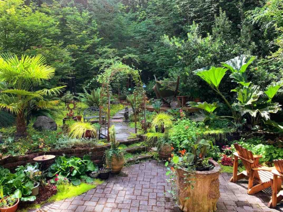Backyard Garden and Patio
